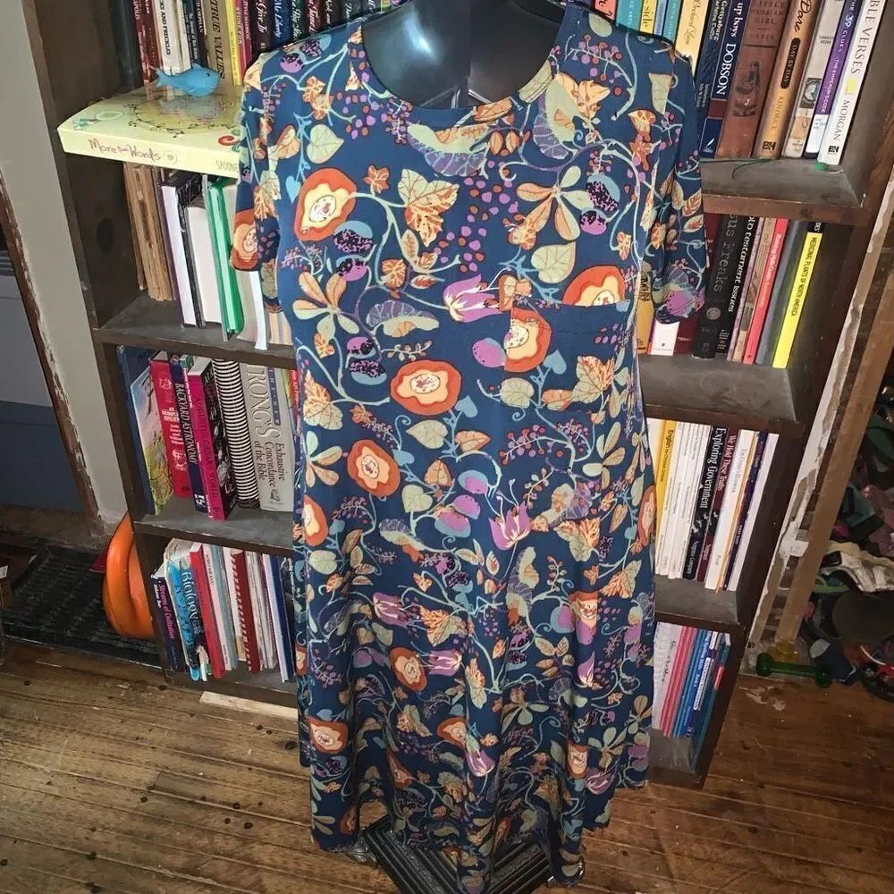 Lularoe high low travelcore floral Carly XS swing dress